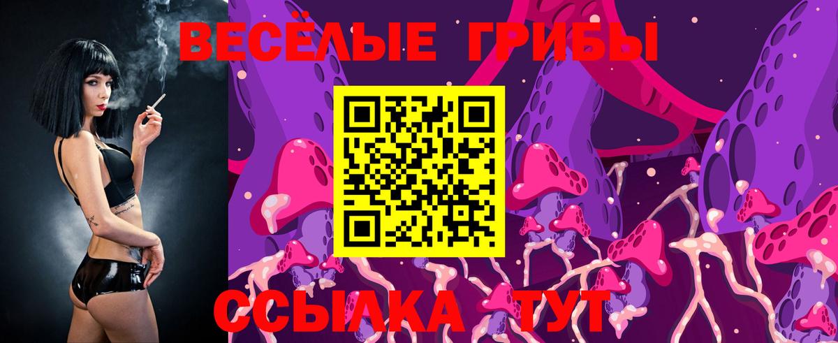 Галлюциногенные грибы Psilocybine cubensis  Вход с VPN  Большой Камень 